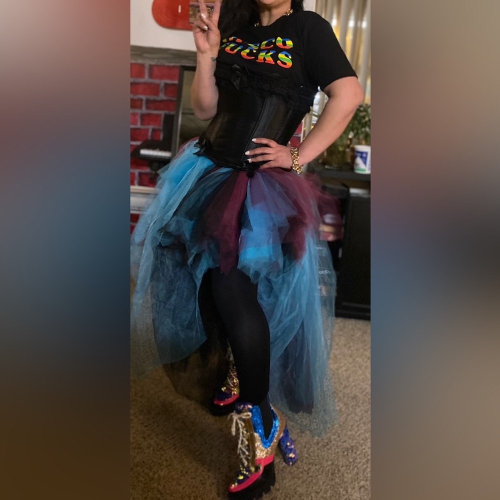 Corset and Tulle skirt costume combo
